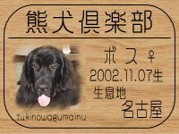 ���R�}�}����̂g�o�ւf�n�I